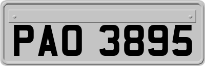 PAO3895