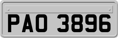 PAO3896