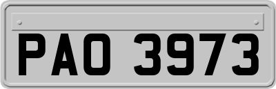 PAO3973