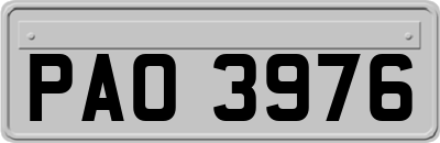 PAO3976