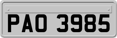 PAO3985