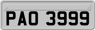 PAO3999
