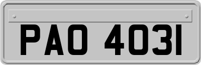 PAO4031