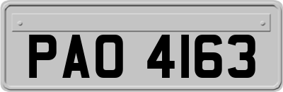 PAO4163