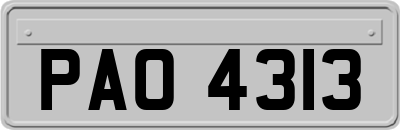 PAO4313