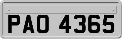 PAO4365