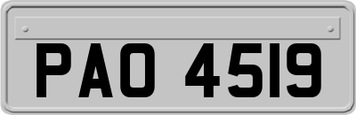 PAO4519