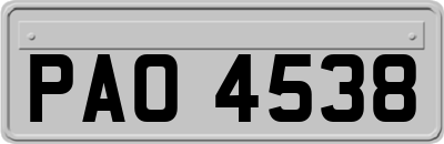 PAO4538