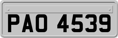 PAO4539