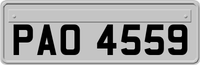PAO4559