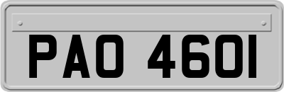 PAO4601