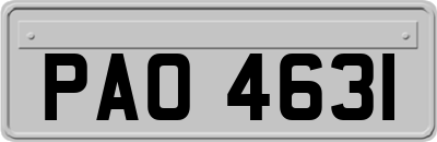 PAO4631