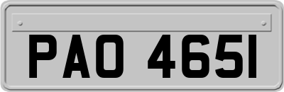 PAO4651