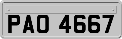 PAO4667