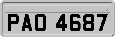 PAO4687
