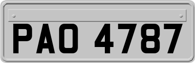 PAO4787