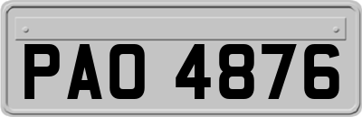 PAO4876
