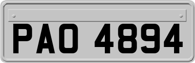 PAO4894