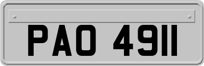 PAO4911
