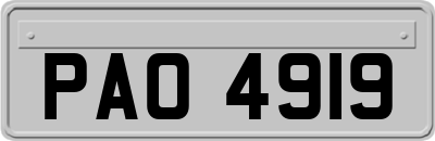 PAO4919