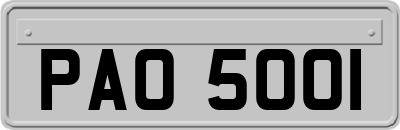 PAO5001