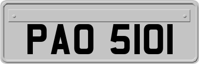 PAO5101