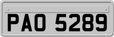 PAO5289