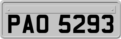 PAO5293