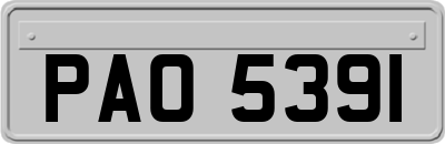 PAO5391