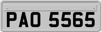 PAO5565