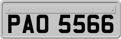 PAO5566