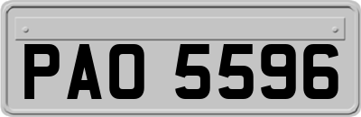 PAO5596