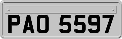 PAO5597