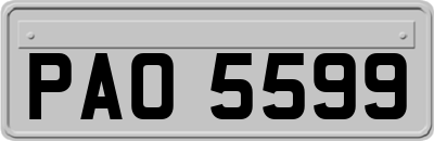 PAO5599