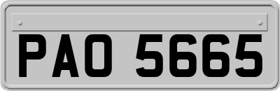 PAO5665