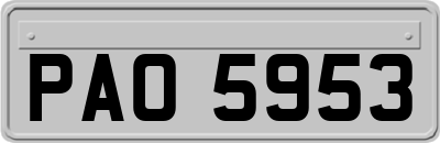 PAO5953