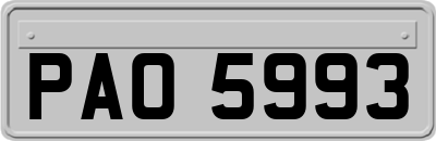 PAO5993