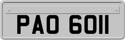 PAO6011