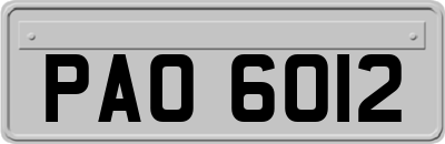 PAO6012