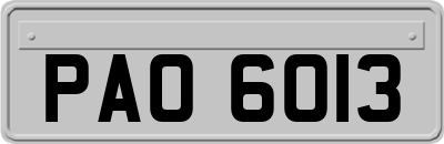 PAO6013