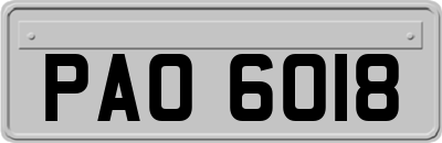 PAO6018