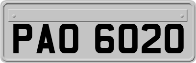 PAO6020