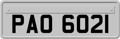 PAO6021