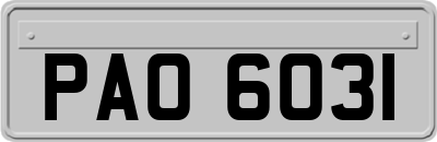 PAO6031