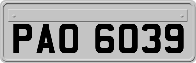 PAO6039