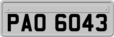 PAO6043