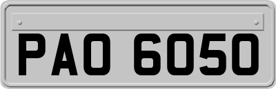 PAO6050
