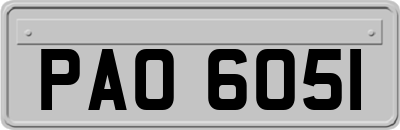 PAO6051