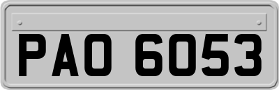 PAO6053