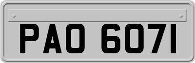 PAO6071